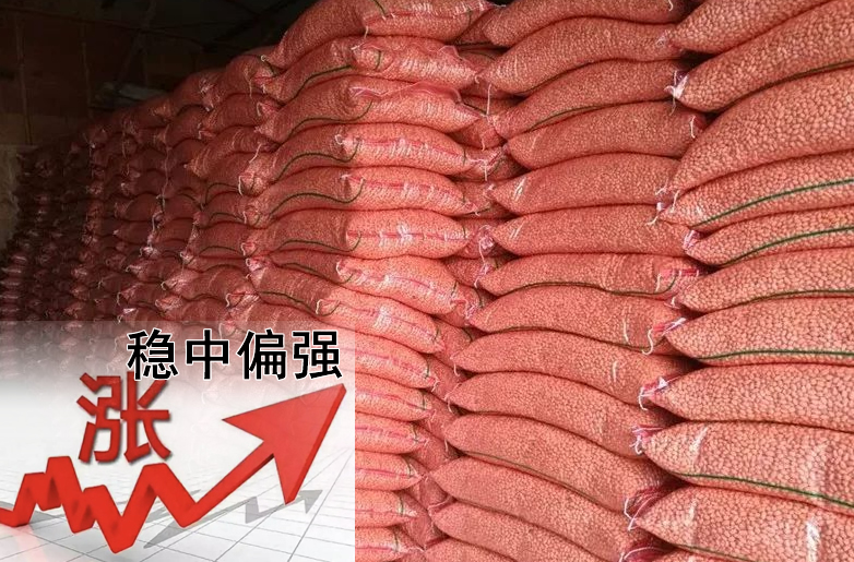 花生價格持續(xù)偏強(qiáng)，需要訂貨的請?zhí)崆鞍才?></a></div>
                        <div   id=
